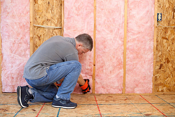 Best Geographic-Specific Insulation Services in Fort Hunt, VA